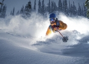 体育赛事直播-范戴克一锤定音展现巨星价值，突尼斯式坚韧难撼曼联防线体系