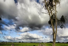 熊猫TV-2026世界杯焦点战，瑞士精密战术提前终结悬念，新西兰遗憾告别北美赛场