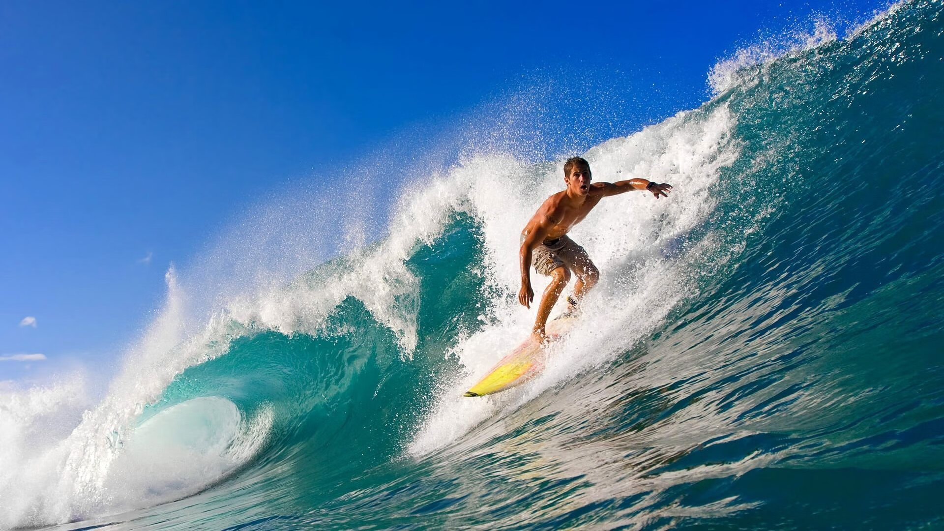 从温网横扫到年终加冕，纳达尔带队诠释网球的终极统治力