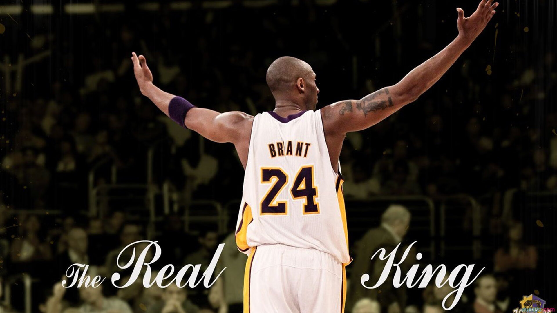 灰熊铁血防守全面压制篮网，约基奇关键战再证硬仗之王本色